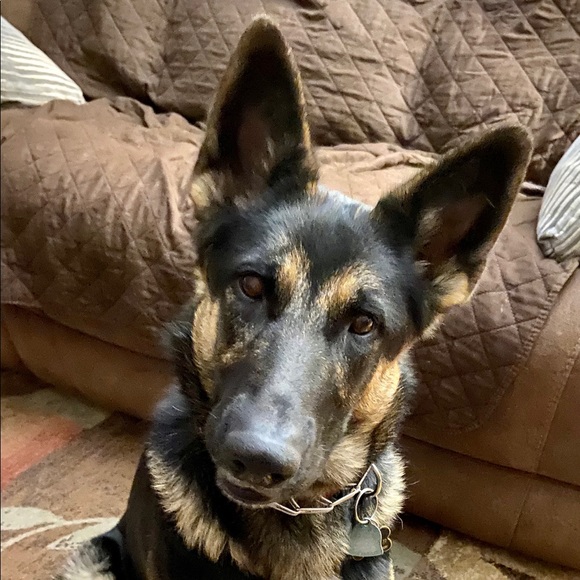 Meet your Posher, Sherri - Picture 2 of 4